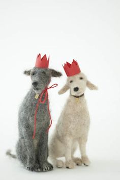 two dogs with crowns on their heads sitting next to each other in front of a white background