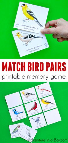 the matching bird pairs game is perfect for kids to practice their memory skills and help them learn