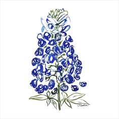 a drawing of a blue flower on a white background