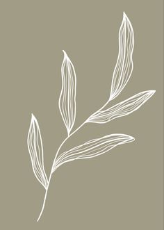 the outline of a leaf on a gray background