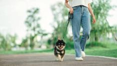 a woman walking her dog on a leash