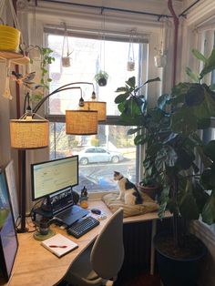 a cat sitting on top of a desk next to a laptop computer near a potted plant