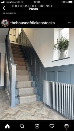 the stairs are painted blue and there is a potted plant next to them