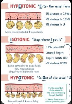 the different types of hypetotic and other things that are related to it