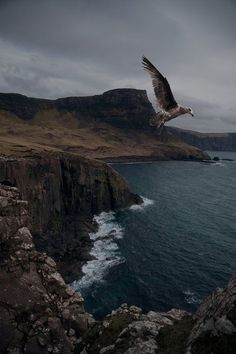 a seagull flying over the ocean on a rocky cliff by the water's edge