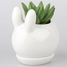 a white ceramic bunny planter with succulents in it's mouth