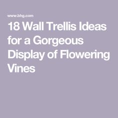 18 Wall Trellis Ideas for a Gorgeous Display of Flowering Vines Front Door Trellis, Wall Trellis Ideas, Wall Mounted Trellis, Door Trellis, Wall Trellis, Arbors Trellis, Trellis Ideas, Trellis Design