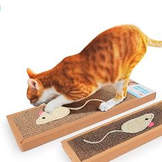 an orange and white cat is playing with a mouse on a mat that looks like a mouse