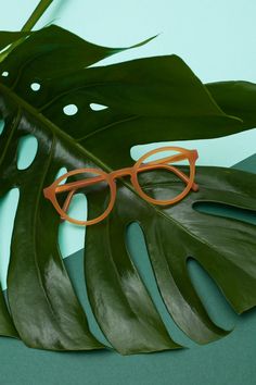 Optician Marketing, Jewelry Photography Styling, Eyewear Trends