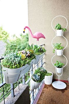 an assortment of plants on a balcony with a pink flamingo statue in the background