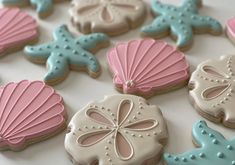 decorated cookies with shells and seashells are displayed on a white tablecloth surface