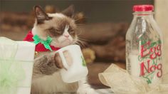 a grumpy cat in a bow tie is holding a coffee mug next to a christmas present