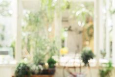 a room with potted plants on the windowsill and a table in front of it