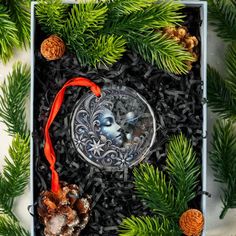 a christmas ornament in a box surrounded by pine cones