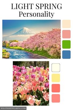 light spring color palette Light Spring Patterns, Warm Spring Color Palette