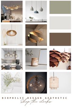 a collage of different lighting fixtures in various colors and sizes, with the words biophiclic design aesthetic above them