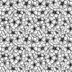 black and white flowers are arranged in the shape of an intricate pattern on a white background