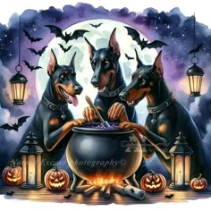 two doberman dogs eating food out of a caulder in front of a full moon