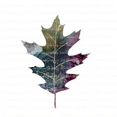 a watercolor painting of a leaf