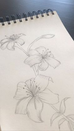 a pencil drawing of flowers on a sheet of paper