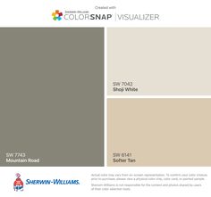 the colorsnap visualizer color swatches are shown in gray, white and brown