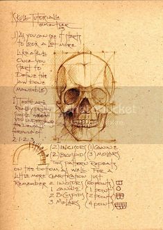 a drawing of a human skull with some writing on it