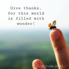 a small insect sitting on top of a finger with the words give thanks for this world is filled with wonder