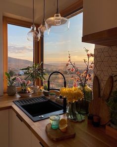 a kitchen with a stove top oven sitting next to a window filled with flowers and plants