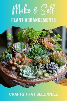 a potted plant with succulents on it and the words make & sell plant arrangements crafts that sell well