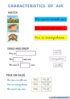 the characteristics of an air plane in english and spanish text, with pictures on each side