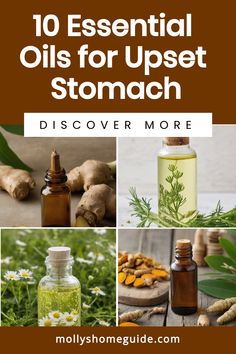 Discover the power of essential oils to ease upset stomachs with natural remedies. Peppermint and ginger are great for digestion, while Frankincense and myrrh oil can help soothe tummy troubles. Whether it's a stomach ache, nausea, or diarrhea, these essential oils can be your go-to solution for alleviating discomfort from stomach bugs. Try making an upset stomach salve using the best essential oils for upset stomachs to find relief in a holistic way. Essential Oil For Stomach Bug, Getting Rid Of Gas, Cardamom Essential Oil, Fennel Essential Oil, Turmeric Essential Oil, How To Relieve Nausea, Myrrh Oil, Wild Food Foraging, Frankincense And Myrrh