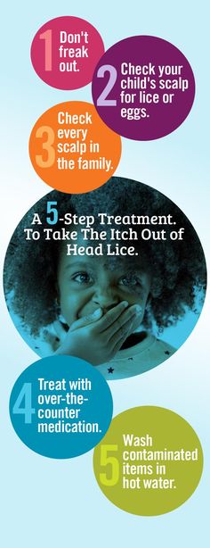 5-Step Lice Treatment Infographic Lice Eggs, Lice Removal, Head Louse, Itchy Scalp, Dermatology, Dandruff, Skin Conditions, Hair Brush, The School