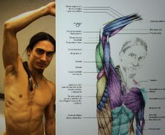 a shirtless man standing next to an image of the muscles