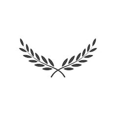 an olive branch with leaves is shown in this simple black and white logo, which includes the letter o