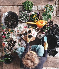 a person sitting at a table surrounded by potted plants and gardening tools on top of it