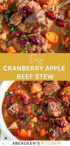 cranberry apple beef stew in a white bowl