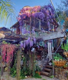 an old house with wistery plants growing on the roof and stairs leading up to it