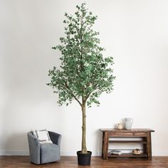 a small tree in a living room next to a gray chair and coffee table on a hard wood floor