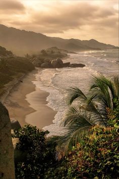 the beach is surrounded by palm trees and mountains