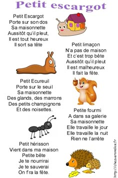 the french language poster shows different types of animals and their names, including an antelope