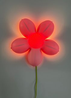 a red flower is lit up on the wall