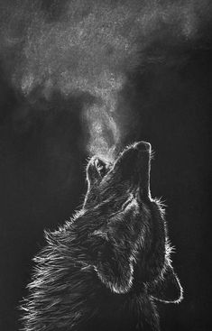 Animals Inspiration, Lup Singuratic, Portrait Au Crayon, Charcoal Drawings, Wolf Wallpaper, White Drawing, Charcoal Art, Wolf Tattoos