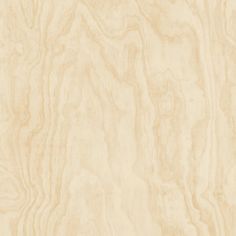 an image of wood textured with natural light tones for wallpaper or backdrops