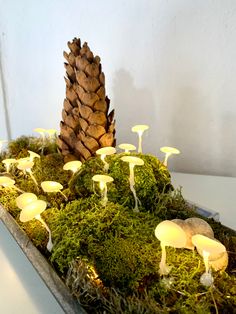 a tray filled with moss and mushrooms on top of a table