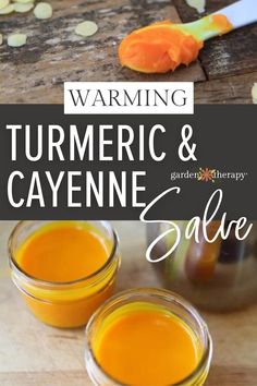 Ayurveda Healing, Ayurveda Vata, Lichen Planus, Medicine Garden, Healing Salve, Turmeric Health, Garden Therapy, Turmeric Health Benefits