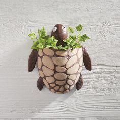 a ceramic turtle planter with green leaves in it's shell on a white painted wall