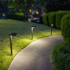 some lights that are on in the grass near trees and bushes, along with a path