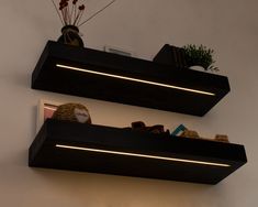 two floating shelves with lights above them on the wall next to a potted plant