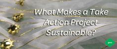 the words what makes a take action project sustenable? are written in gold letters