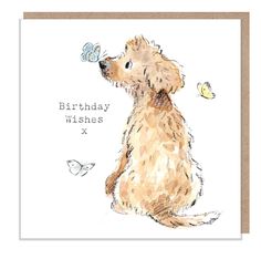 a birthday card with a dog and butterflies on it